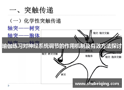 瑜伽练习对神经系统调节的作用机制及有效方法探讨