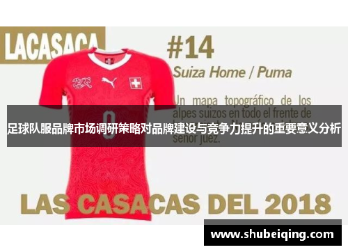 足球队服品牌市场调研策略对品牌建设与竞争力提升的重要意义分析