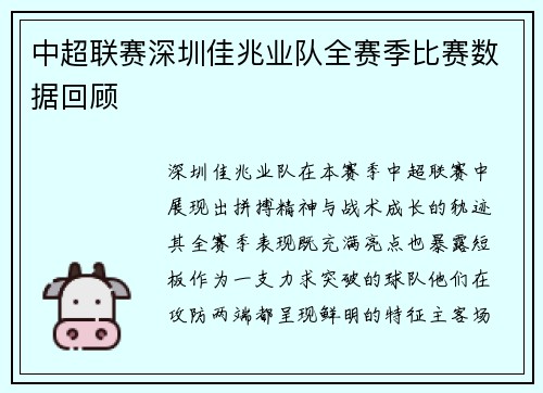 中超联赛深圳佳兆业队全赛季比赛数据回顾